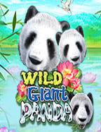 ทำไม บา คา่ ราslot ที่ แตก บ่อย ถึงเป็นที่นิยมสุดๆ ตอนนี้